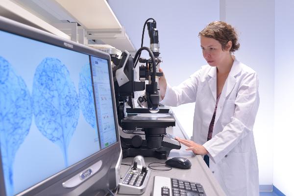 Wissenschaftlerin beim Mikroskopieren von Pflanzenstrukturen