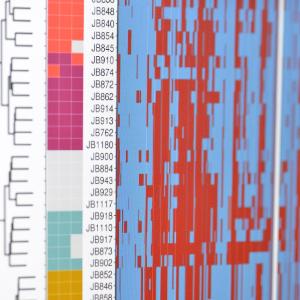 Analysis of genetic studies