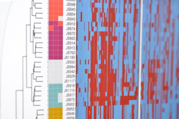 Analysis of genetic studies