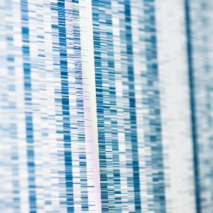 Analyse von genetischen Untersuchungen