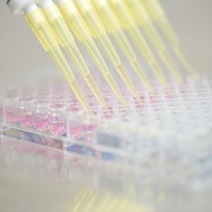 Filling in Multi-Well-Plates