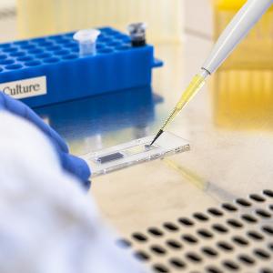 Pipettieren von Lösungen