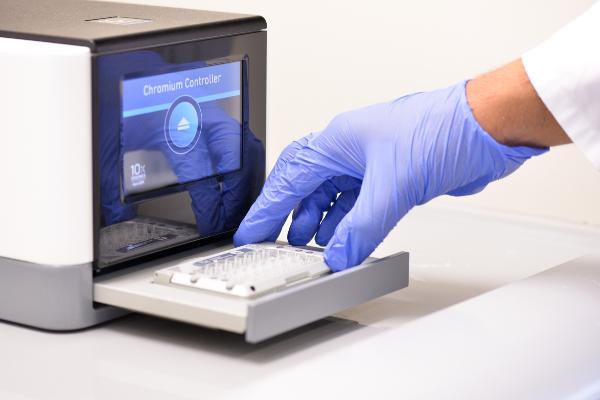 HighTech-Analyse einzelner Zellen