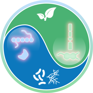 Logo TRR 356