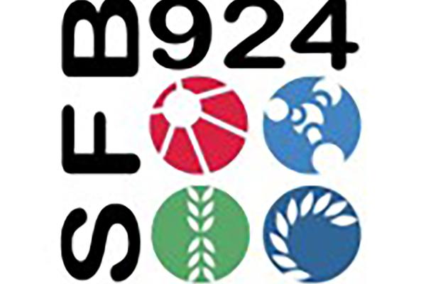 Logo für den Sonderforschungsbereich 924
