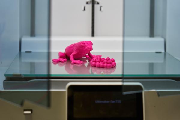 3D Modell von Frosch und Froscheiern im 3D Drucker
