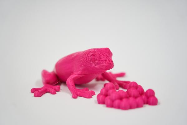 3D Druck von Frosch und Froscheiern