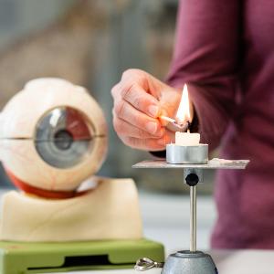 Augenmodell der Didaktik