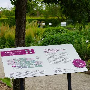 Teaching path ´Mikrowelten´ at the Botanical Garden Munich-Nymphenburg