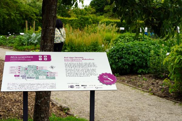 “Mikrowelten” teaching path in the Botanical Garden Munich-Nymphenburg