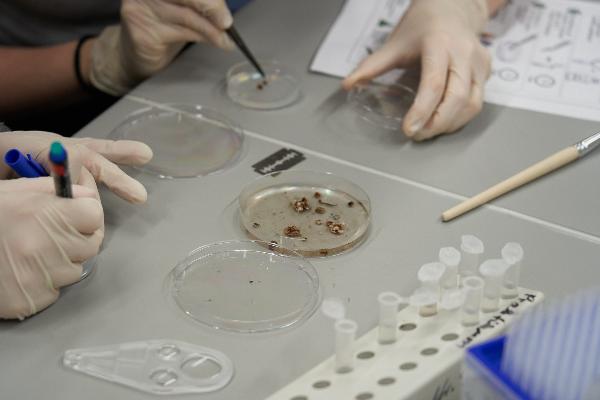 Pupils visit the Faculty of Biology in Martinsried on University Day 2026