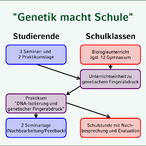 Konzept von Genetik macht Schule