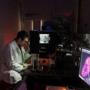 Wissenschaftler beim Mikroskopieren von Zellstrukturen