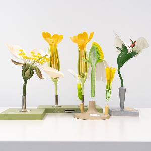 Modelle von verschiedenen Blüten