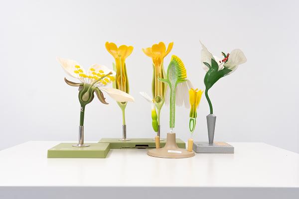 Models of different flowers