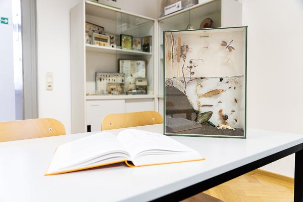 Showcase habitat pond with a book