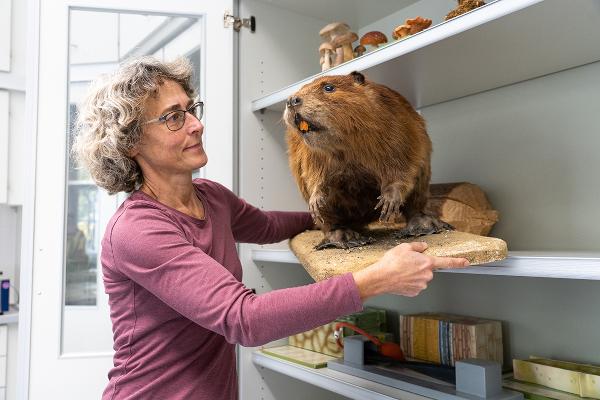 Wissenschaftlerin mit Bibermodell