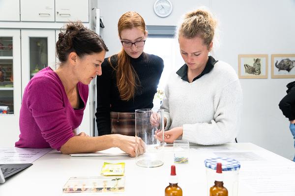 Studierende beim Experimentieren