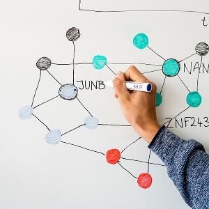 Verschiedene Transkriptionsfaktoren, netzartig dargestellt | © Carolin Bleese Verschiedene Transkriptionsfaktoren, netzartig dargestellt