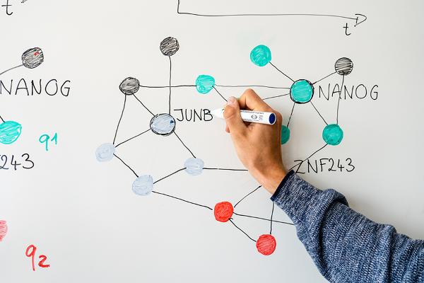 Different transcription factors, displayed as a network