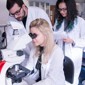 Studierende am Mikroskopieren