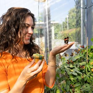 Wissenschaftlerin mit Schmetterlingen | © Carolin Bleese Wissenschaftlerin mit Schmetterlingen