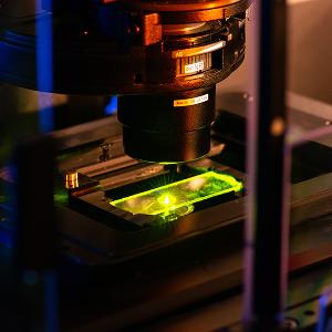 Proben unter dem Mikroskop