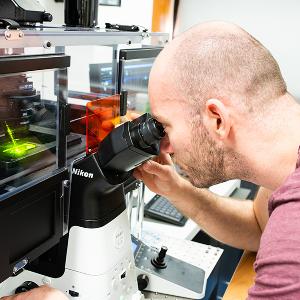 Scientist micropscoping