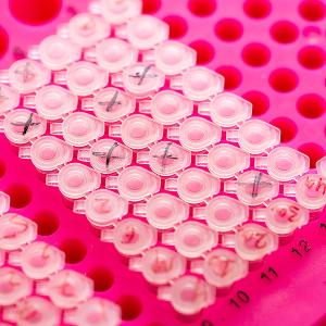 Kleine Tubes im Gefäßständer | © Carolin Bleese Kleine Tubes im Gefäßständer