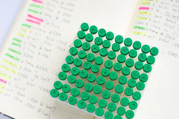 Lab book and small tubes