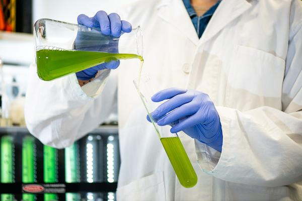 Scientist pouring solutions