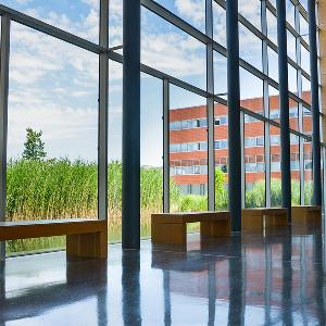 Eingangsbereich des Biozentrum, Blick nach draußen