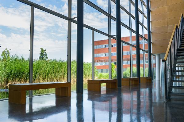 Blick von Biozentrum auf Teich und U Skulptur
