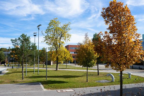 Grünfläche inmitten des Campus