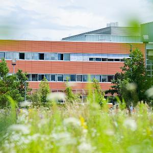 Biozentrum im Sommer mit Wiese