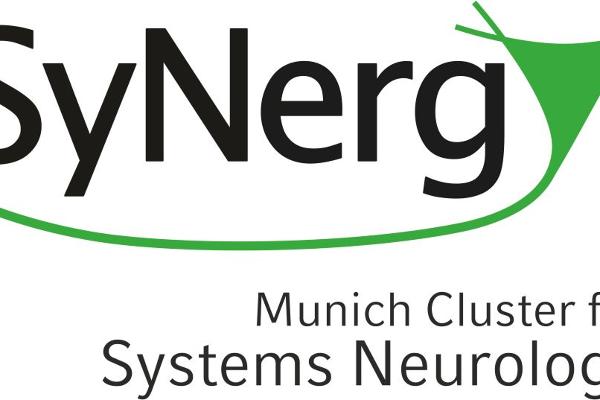 Logo von SyNergy