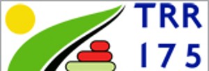 Logo TRR 175