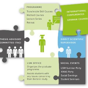 Puzzle diagram illustrating the curricular elements of the Graduate School Life Science Munich (LSM) doctoral program