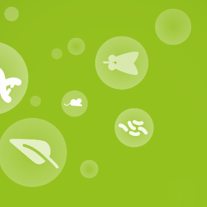 LSM doctoral program poster featuring model organisms used in Life Science research