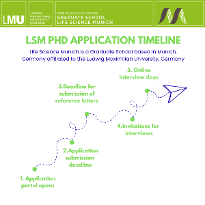 Timeline visualizing the application phases for the Graduate School Life Science Munich doctoral program