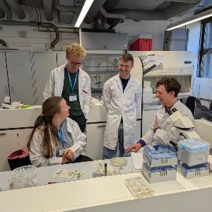 NachwuchswissenschaftlerInnen vernetzen sich