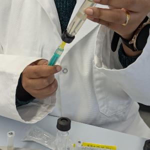 Laborarbeit während dem Workshop