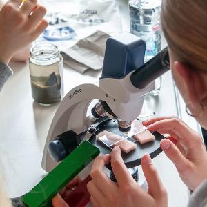 Schülerinnen und Schüler des Gymnasiums Vaterstetten und aus Estland beim mikroskopieren