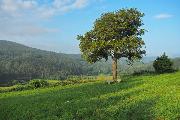 © Anton Ganzenmüller