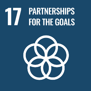 The content of this publication has not been approved by the United Nations and does not reflect the views of the United Nations or its officials or Member States