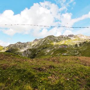 Meadow in the Alps