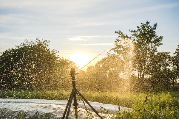 Irrigation on agricultural field