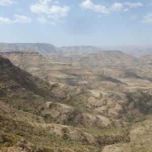Ethiopian Traps near Belessa