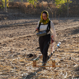 Magnetometer Prospecting at Yeha (Ethiopia)