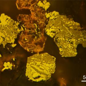 PseudobrookiteHemoilmeniteTitanomagnetite_FlorianLhuillier